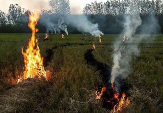 آتش زدن کاه وکلش وبی تفاوتی مسولین در دزفول