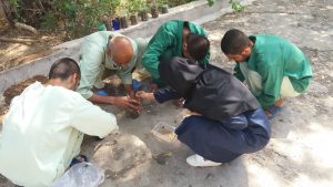 کاشت نهال در مرکز بیماران اعصاب روان ایران مهر مسجدسلیمان