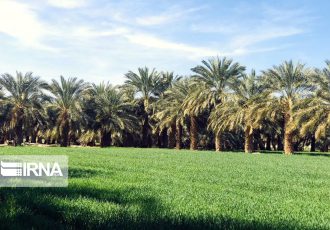 خوزستان تولید کننده ۲۰ درصد غذای کشور است/ مغفول ماندن ظرفیت‌ کشاورزی استان در سایه نفت