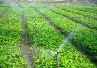 ۱۵۰ طرح کشاورزی در خوزستان آماده بهره‌برداری است